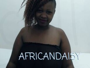 AFRICANDAISY