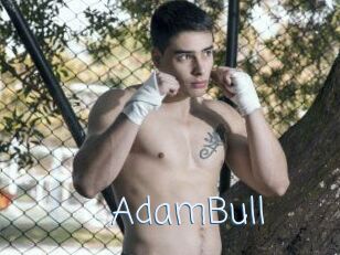 AdamBull