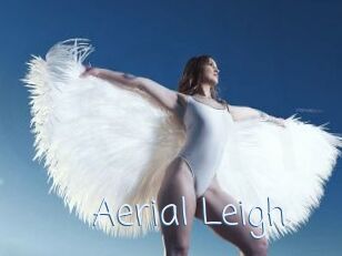 Aerial_Leigh