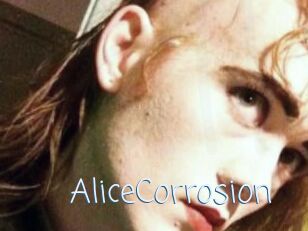 AliceCorrosion