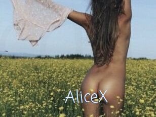 AliceX