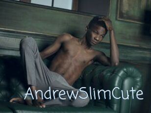 AndrewSlimCute