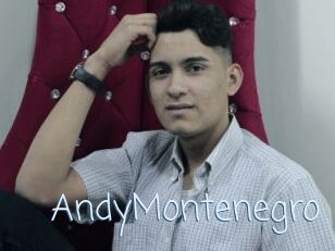 AndyMontenegro