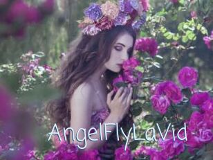 AngelFlyLaVid