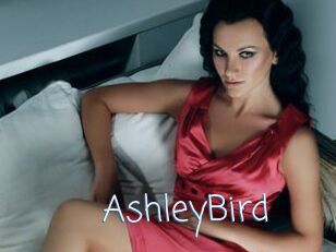 AshleyBird