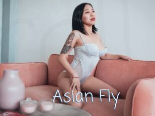 Asian_Fly