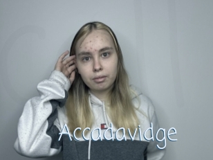 Accadavidge