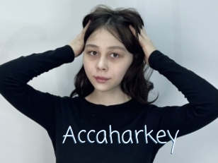 Accaharkey