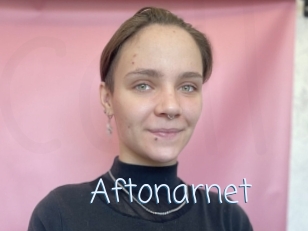 Aftonarnet