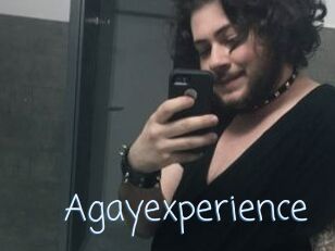 Agayexperience