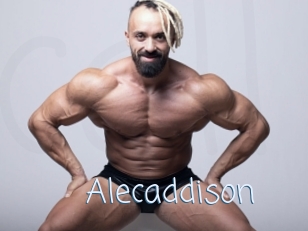 Alecaddison