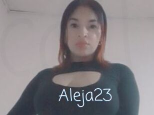 Aleja23