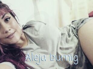 Aleja_burnig