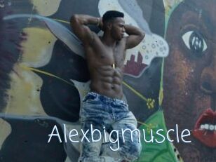 Alexbigmuscle