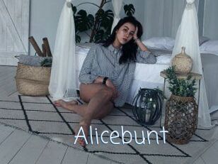 Alicebunt