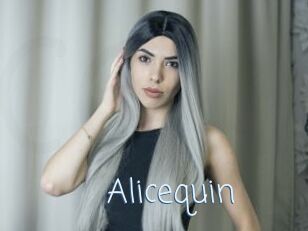 Alicequin