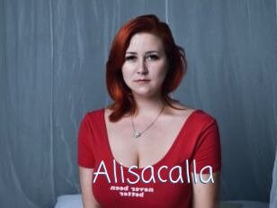 Alisacalla