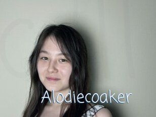 Alodiecoaker