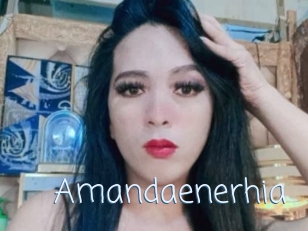 Amandaenerhia