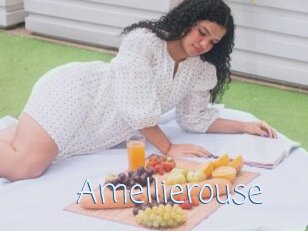 Amellierouse