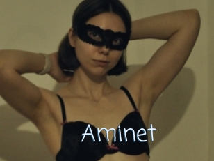 Aminet