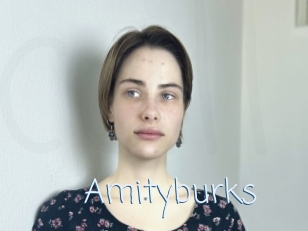 Amityburks