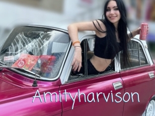 Amityharvison