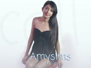 Amysims