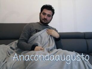 Anacondaaugusto