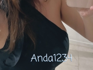 Anda1234