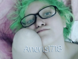 Aneris1718