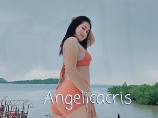 Angelicacris