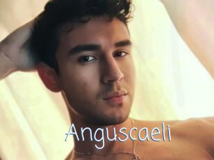 Anguscaeli