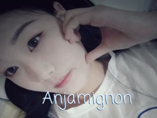 Anjamignon