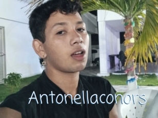 Antonellaconors