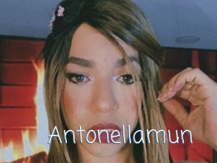 Antonellamun