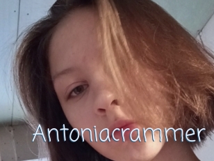 Antoniacrammer