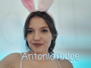 Antoniafudge