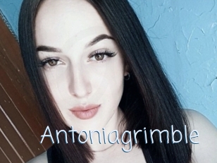 Antoniagrimble