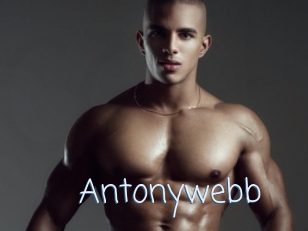 Antonywebb