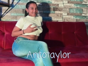 Antotaylor