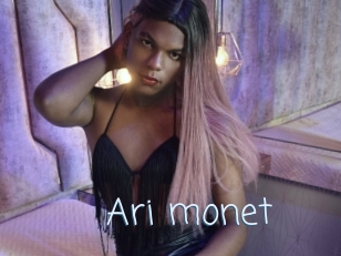 Ari_monet