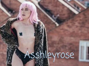 Asshleyrose