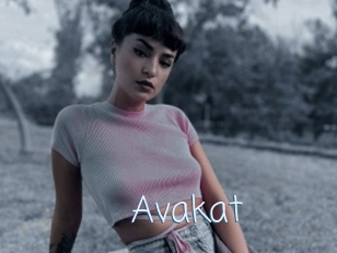 Avakat