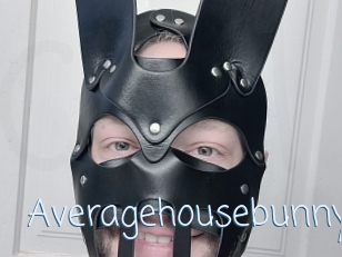 Averagehousebunny