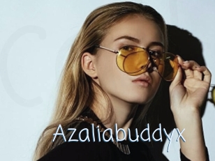 Azaliabuddyx