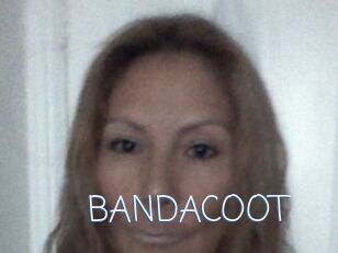 BANDACOOT