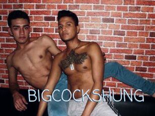 BIG_COCKS_HUNG