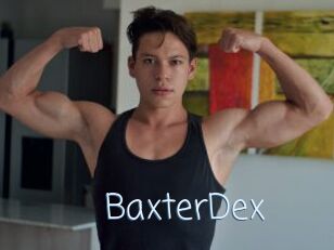 BaxterDex