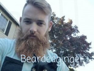 Beardedginger